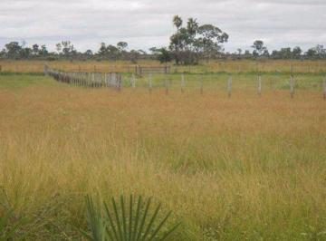 Rural · 440000000m² · FAZENDA ALTA PRODUÇÃO PECUARIA