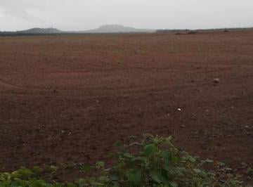 Rural · 33000000m² · FAZENDA A VENDA EM ESTREITO-MA!