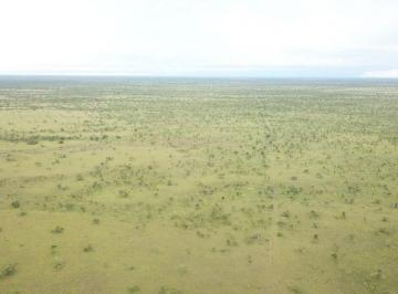 Rural · 833459968m² · FAZENDA A VENDA  SÃO FÉLIX DO ARAGUAIA-MT.