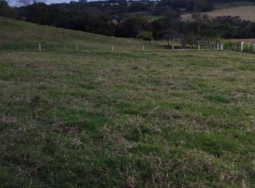 Rural · 140000m² · VENDA | Sítio,  em Zona Rural, Santa Helena