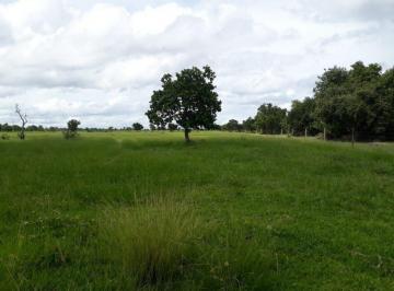 Rural · 19360000m² · Porteira fechada na pecuária a venda  Araguaiana - MT