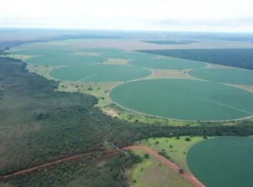Rural · 3000m² · VENDA | Fazenda, em Zona Rural, Jussara