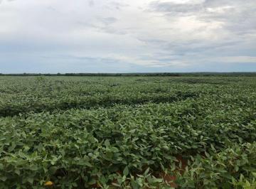 Rural · 14000000m² · FAZENDA A VENDA EM ROSARIO OESTE-MT!