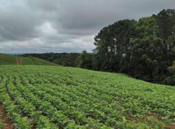 Rural · 128000m² · ÓTIMA CHACARÁ A VENDA EM CONTENDA-PR!