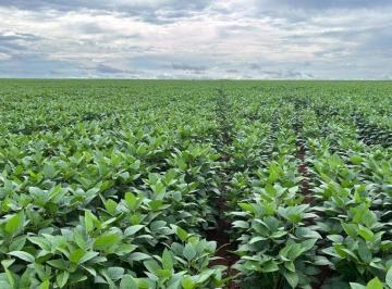 Rural · 35000000m² · FAZENDA A VENDA NA REGIÃO DE SANTA RITA DO TOCANTINS-TO!