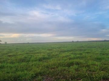Rural · 13380000m² · FAZENDA A VENDA NA REGIÃO DE DUERÉ-TO!