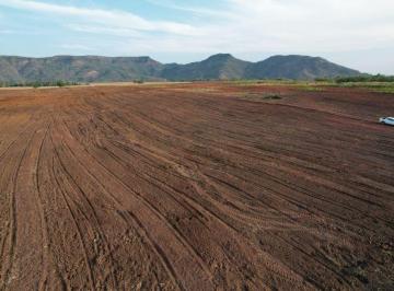 Rural · 15190000m² · FAZENDA ENTRE FÁTIMA E BREJINHO-TO!!
