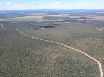 Rural · 62290000m² · FAZENDA A VENDA NA REGIÃO DE MIRANORTE-TO!