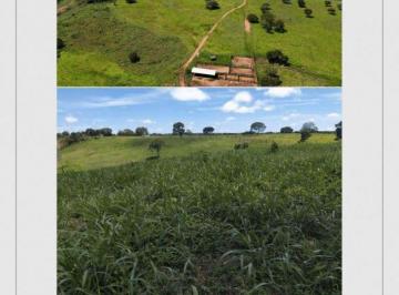 Rural · 9630000m² · FAZENDA Á VENDA TO - 199 ALQUEIRES - PECUÁRIA