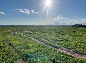 Rural · 17520000m² · FAZENDA DUPLA APTIDÃO REGIÃO DE TESOURO-MT!!