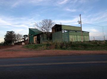 Rural · 3000m² · 1 Quarto · 5 Vagas · VENDA | Chácara, com 1 dormitórios em Cruzeiro Do Sul