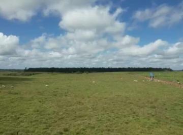 Rural · 50000000m² · FAZENDA A VENDA NA REGIÃO DE PARAGOMINAS-PA!
