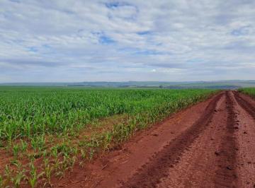 Rural · 1597200m² · VENDA | Fazenda,  em Paiçandu