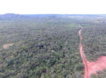 Rural · 108000000m² · FAZENDA A VENDA NA REGIÃO DE PARNARAMA-MA!