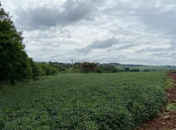 Rural · 140578m² · VENDA | Sítio, em GLEBA RIBEIRAO PINGUIM, MARINGA
