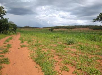 Rural · 157000000m² · NEGÓCIO DE OPORTUNIDADE EM ALTO PARNAÍBA-MA!!