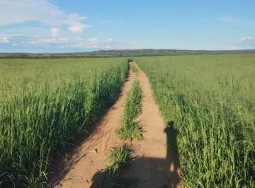 Rural · 34550000m² · FAZENDA A VENDA NA REGIÃO DE LAGOA DO TOCANTINS-TO!