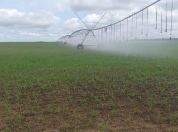 Rural · 24220000m² · FAZENDA A VENDA NA REGIÃO DE PEIXE-TO!