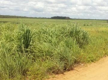 Rural · 1840000m² · VENDA | Fazenda,  em Zona Rural, Pedro Afonso