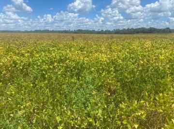 Rural · 27000000m² · FAZENDA PRÓXIMA A REGIÃO DE NOVO ACORDO-TO!