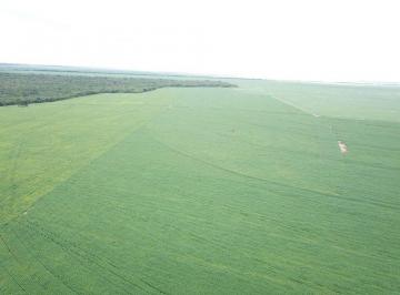 Rural · 31500000m² · FAZENDA DUPLA APTIDÃO A VENDA - CANARANA -MT