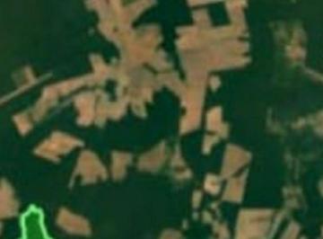 Rural · 50000000m² · FAZENDA EM NOVA MARINGÁ-MT.
