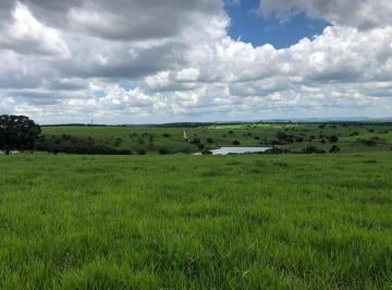 Rural · 63000000m² · FAZENDA PARA PECUÁRIA NO MUNICÍPIO DE SANTA INÊS-MA.