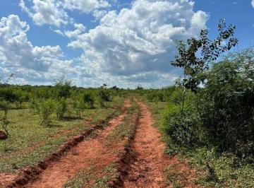 Rural · 4050000m² · FAZENDA A VENDA EM CANARANA-MT!