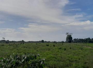 Rural · 26000000m² · FAZENDA A VENDA EM BREU BRANCO-PA!
