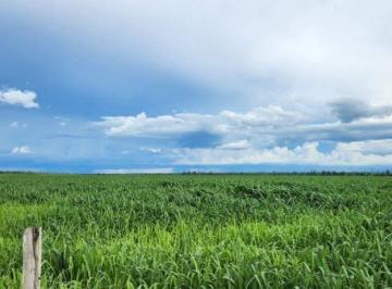 Rural · 70000000m² · FAZENDA A VENDA SANTANA DO ARAGUAIA-PA!