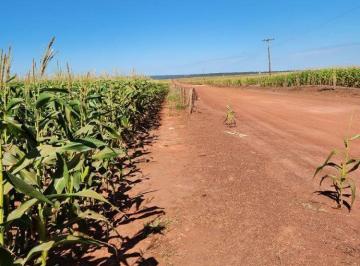 Rural · 10000000m² · FAZENDA A VENDA E ARRENDAMENTO EM RONDONÓPOLIS-MT!!