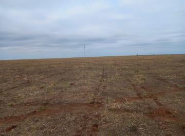 Rural · 6200000m² · FAZENDA A VENDA EM JUSCIMEIRA-MT.