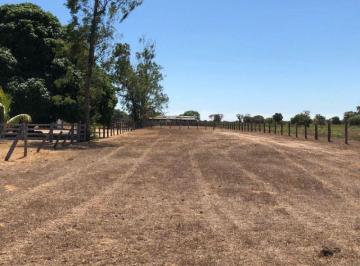 Rural · 100000000m² · FAZENDA NA PECUÁRIA ÓTIMO PREÇO