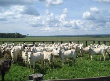 Rural · 211000000m² · FAZENDA DUPLA APTIDÃO