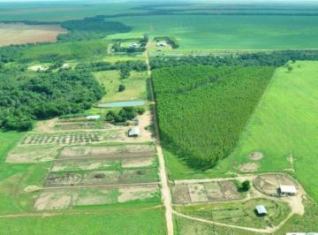 Rural · 73890000m² · FAZENDA A VENDA ALTA PRODUÇÃO