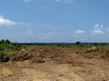 Rural · 55000000m² · FAZENDA A VENDA REGIÃO DE PARAGOMINAS-PA!