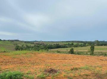 Rural · 87380000m² · FAZENDA A VENDA DUPLA APTIDÃO LOCALIZADA EMPACAJÁ-PA