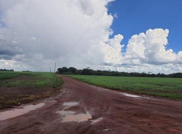 Rural · 31500000m² · FAZENDA A VENDA  DUPLA APTIDÃO CANARANA MT