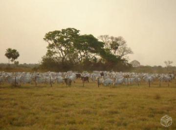 Rural · 440000000m² · FAZENDA ALTA PRODUÇÃO PECUARIA