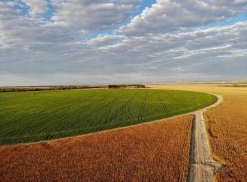 Rural · 10250000m² · FAZENDA PLANTIO SOJA COM IRRIGAÇÃO