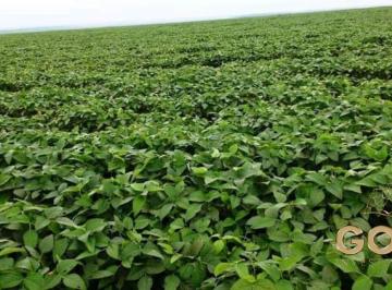 Rural · 22500000m² · fazenda a venda Feliz Nartal MT