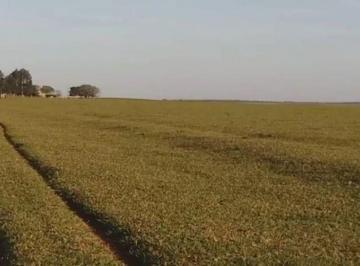 Rural · 16200000m² · Fazenda à venda dupla aptidão Coronel Sapucai-MS