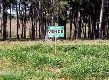 Terreno · 260m² · VENDA | Terreno,  em JARDIM BELA VISTA, LOBATO