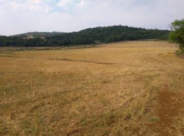 Rural · 1380000m² · Fazenda Marialva-Pr.