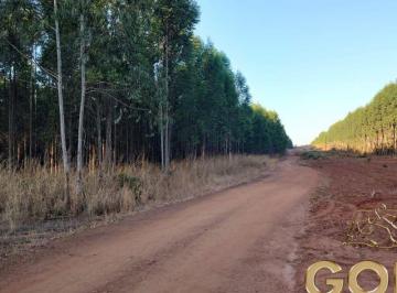 Rural · 140000000m² · VENDA | Fazenda,  em Setor Central, Araguaína