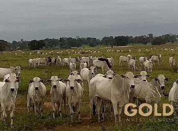 Rural · 105930000m² · FAZENDA A VENDA EM PONTES E LACERDA-MT!