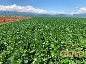 Rural · 2952400m² · FAZENDA NO SOJA EM FLORAI PR