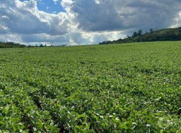 Rural · 24m² · VENDA | Chácara, em Rural De Sao Pedro Do Iguacu, São Pedro Do Iguaçu