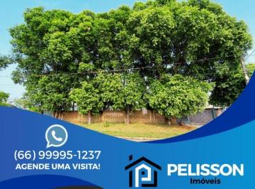 Terreno · 500m² · VENDA | Terreno,  em Setor G, Alta Floresta