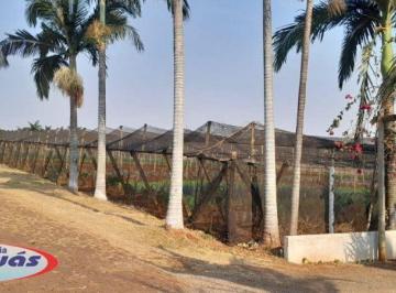 Rural · 6000m² · VENDA | Chácara,  em Jardim Eldorado, Marialva